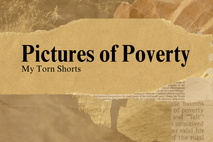 Pictures of Poverty — original cover